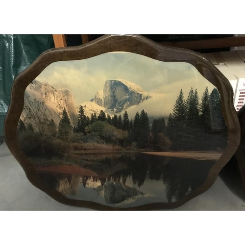 473 - Two scenery landscapes on wood