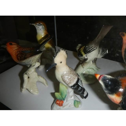 1511 - Six German porcelain bird figures.