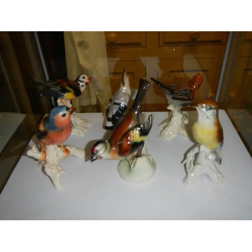 1511 - Six German porcelain bird figures.