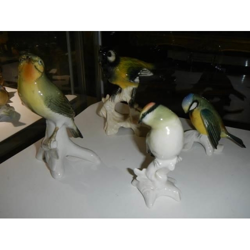 1517 - Six good porcelain bird figures.