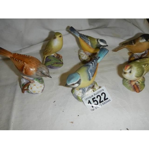 1522 - Six Royal Worcester porcelain birds.