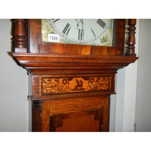 1586 - A thirty hour Victorian Grandfather clock by Reiner & Co., Worcester, COLLECT ONLY.