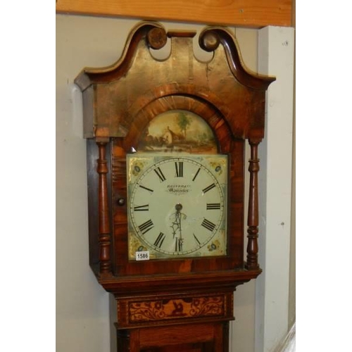 1586 - A thirty hour Victorian Grandfather clock by Reiner & Co., Worcester, COLLECT ONLY.