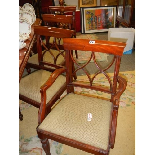 1743 - A set of eight mahogany dining chairs comprising 2 carvers and 6 diners COLLECT ONLY.