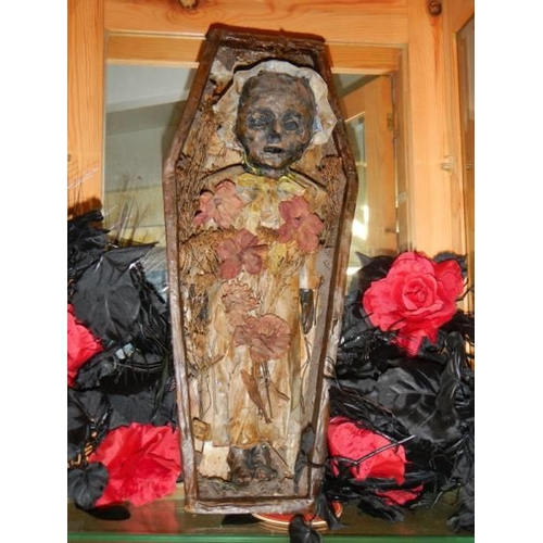 1744 - A macabre collage of a doll in a coffin in a pine case. COLLECT ONLY.