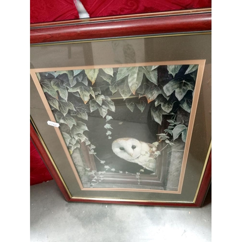 108 - 2 Fabulous framed & glazed photographs of owls & 1 other print.