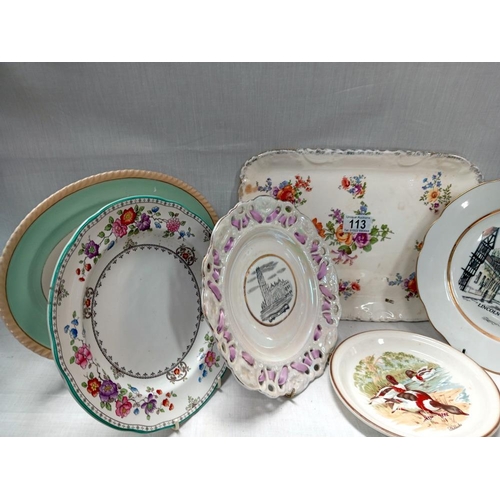 113 - A quantity of collectors plates etc