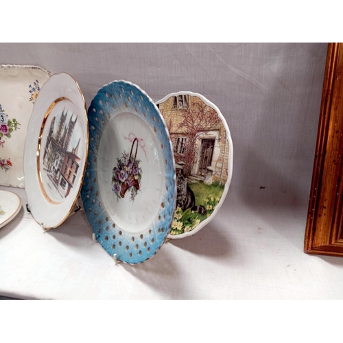 113 - A quantity of collectors plates etc