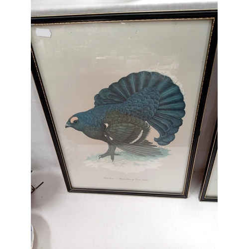 114 - 2 Framed & glazed prints by David Andrews of a grouse & ptarmigan & 1 other