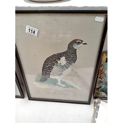 114 - 2 Framed & glazed prints by David Andrews of a grouse & ptarmigan & 1 other