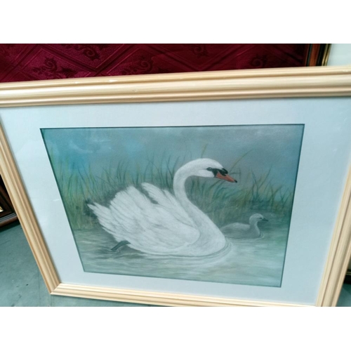 115 - A framed & glazed watercolour & mixed media including a Siamese cat, Swans, Giraffe etc