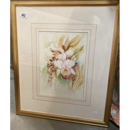 492 - A gilt framed and glazed watercolour of an orchid