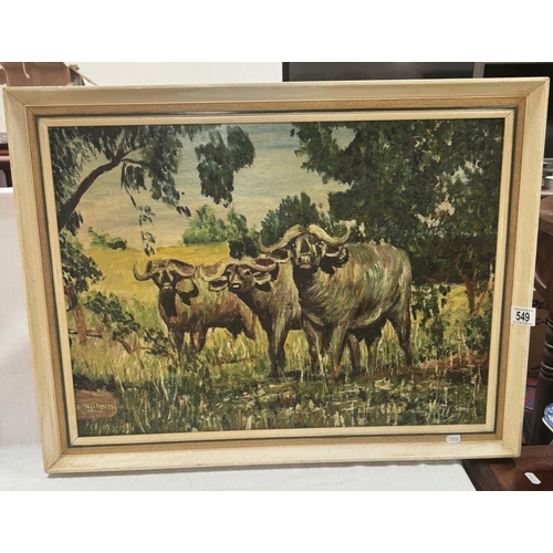 549 - A Vintage oil on board of an African water  buffalo. 68 x 51cm