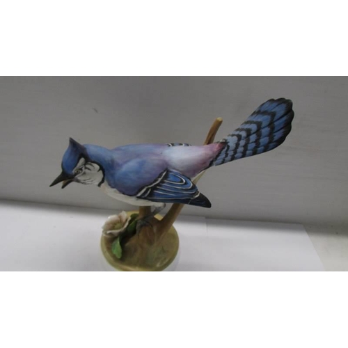 272 - A signed fine bone china blue jay (tail repaired).