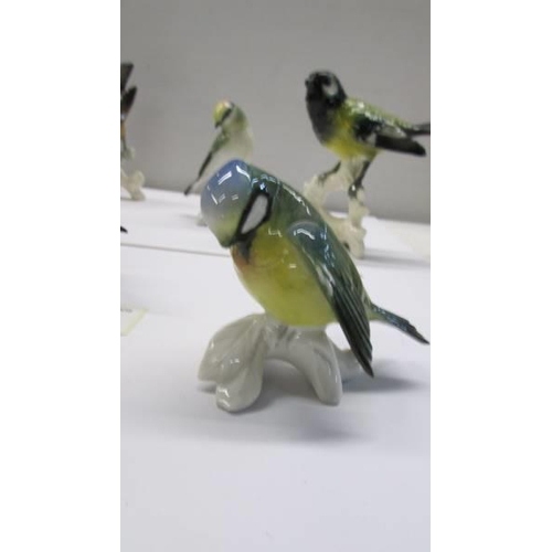 284 - Nine fine porcelain birds including German examples.