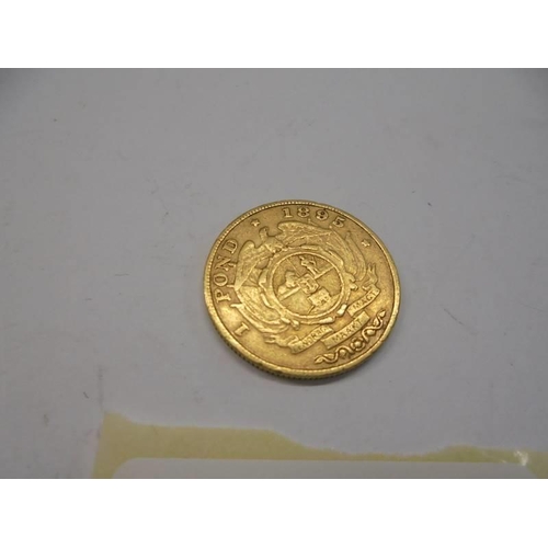 50 - An 1895 South African one pound (22 carat) gold coin.