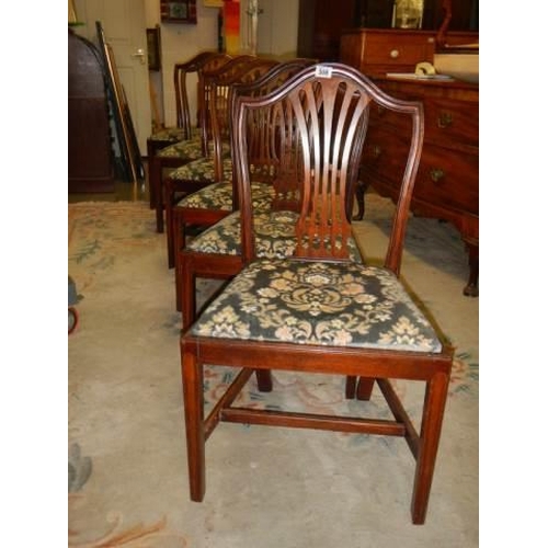 508 - A good set of six mahogany dining chairs with drop in seats. COLLECT ONLY.