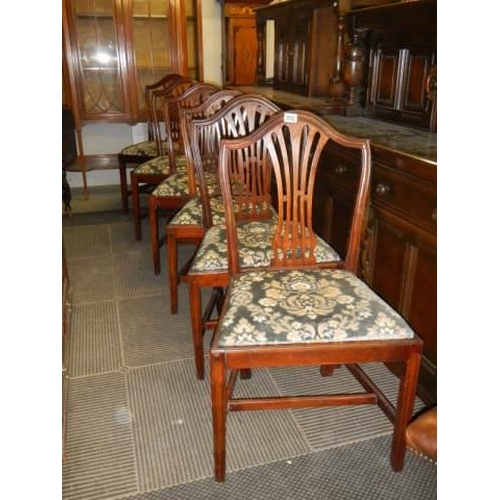 508 - A good set of six mahogany dining chairs with drop in seats. COLLECT ONLY.