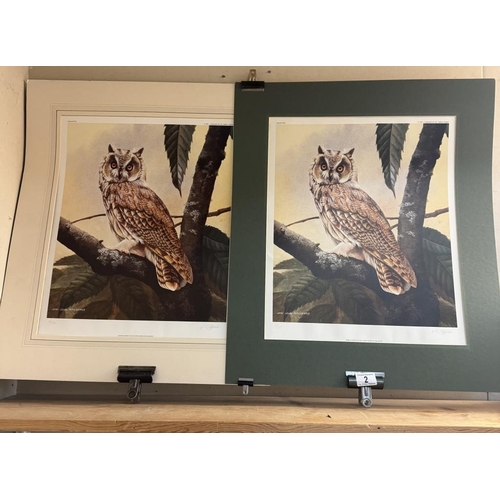 2 - 2 Limited edition prints of owls by John Lewis Fitzgerald 16/500 & 20/500