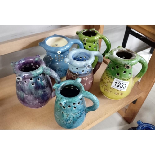 1233 - 6 Puzzle jugs