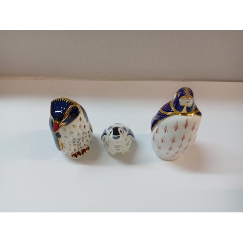 1389 - 3 Royal Crown Derby Penguin paperweights, 2 with gold stoppers, 1 with silver stopper