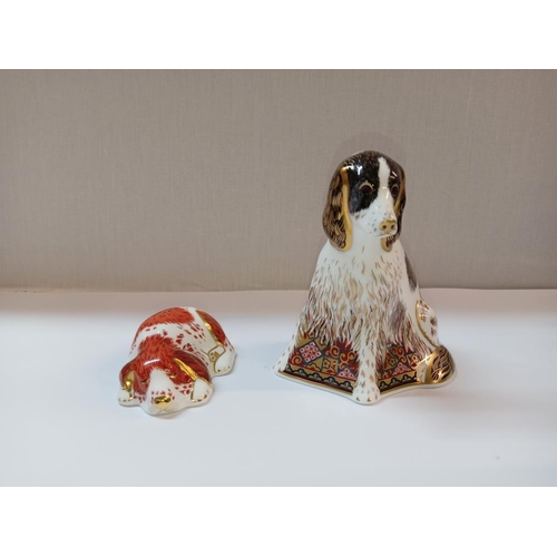 1390 - 2 Royal Crown Derby dogs 'puppy & Molly' both with gold stoppers