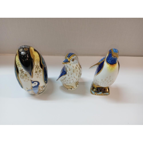 1391 - 3 Royal Crown Derby penguins, 2 with gold stoppers & 1 with silver stopper