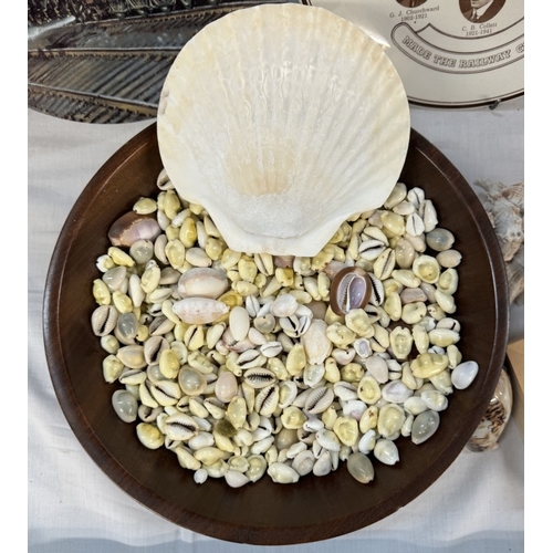 534 - A quantity of small shells, framed shells etc