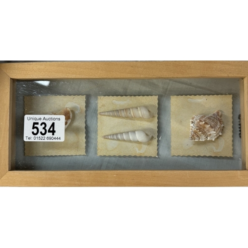 534 - A quantity of small shells, framed shells etc