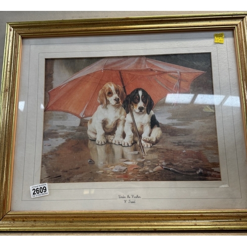 2609 - A Framed & glazed Beagle puppy print titled under the weather by W Trood (58cm x 47cm)