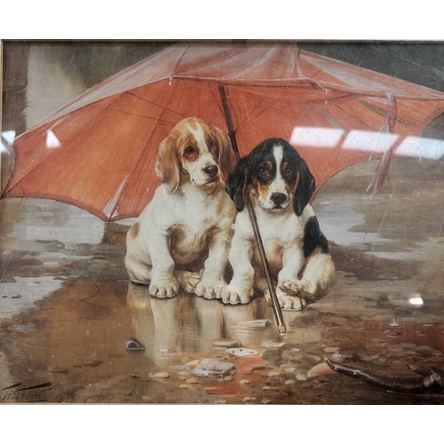 2609 - A Framed & glazed Beagle puppy print titled under the weather by W Trood (58cm x 47cm)