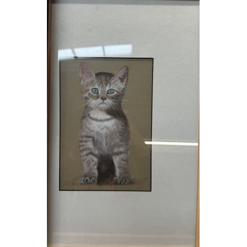 2619 - 2 Framed & Glazed cat pictures (Largest picture 47 x 55cm)