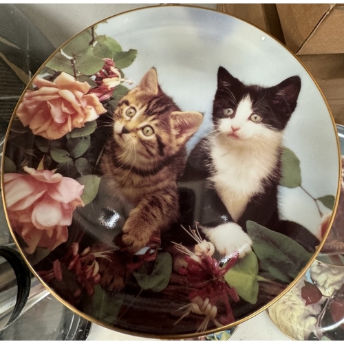 2629 - 9 Danbury Mint perfect portraits of Kittens / Cats collectors plates