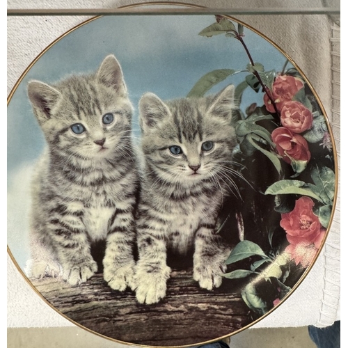 2629 - 9 Danbury Mint perfect portraits of Kittens / Cats collectors plates