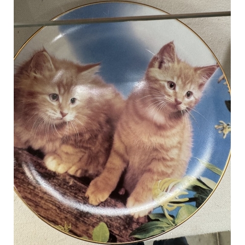 2629 - 9 Danbury Mint perfect portraits of Kittens / Cats collectors plates