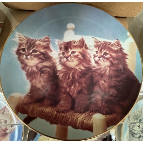 2629 - 9 Danbury Mint perfect portraits of Kittens / Cats collectors plates