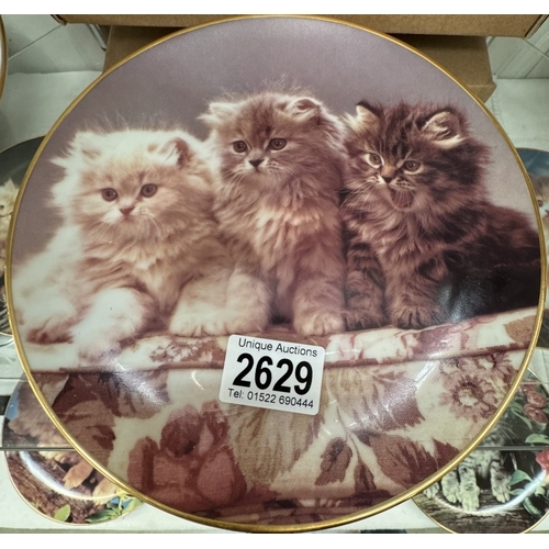 2629 - 9 Danbury Mint perfect portraits of Kittens / Cats collectors plates