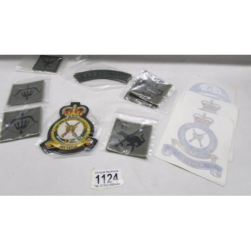 1124 - A quantity of cloth badges and patches etc.,