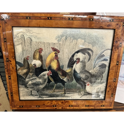 2787 - A walnut veneered framed print of cockerels & hens & a Sheila Gill owl print etc.