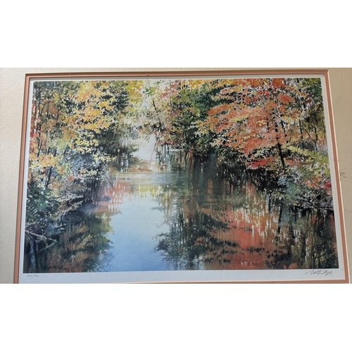 645 - A large unglazed limited edition print of wooded pool, 306/950