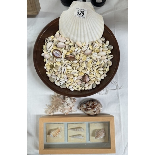 829 - A quantity of small shells, framed shells etc