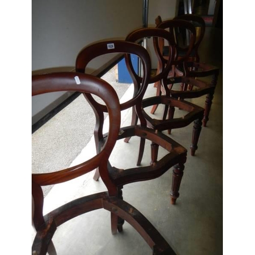 1826 - A set of six mahogany dining chairs, no seats, COLLECT ONLY.