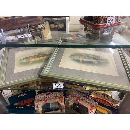 801 - 2 framed and glazed pictures of fish including Golden Trout