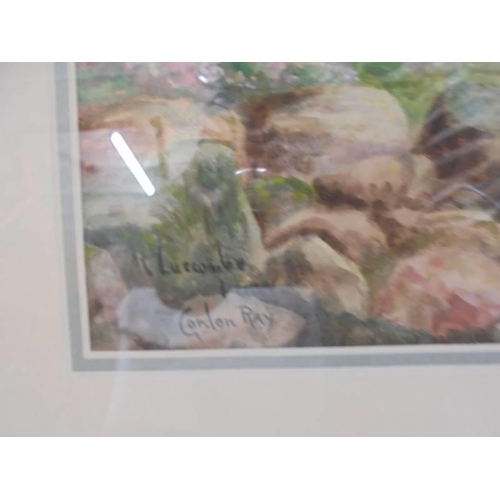 658 - A framed and glazed watercolour 'At Luscombe Isle of Wight' signed Gordon Ray, COLLECT ONLY.