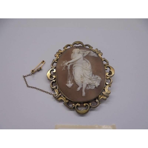 1001 - An old shell cameo in a yellow metal mount with safety chain.