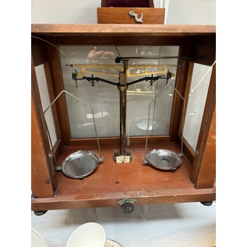 31 - A vintage cased chemist scales with weights