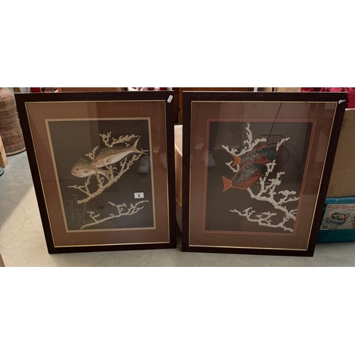 4 - A pair of large framed prints of fish among coral 57cm x 67cm