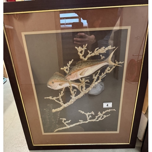 4 - A pair of large framed prints of fish among coral 57cm x 67cm