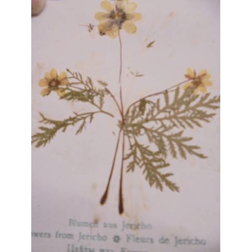 1138 - Eight early 20th century silk greeting cards and a Jerusalem souvenier booklet with dried flowers.