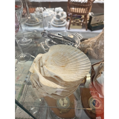 198 - A quantity of scallop shells, snail shells, a large shell and 2 escargots dishes